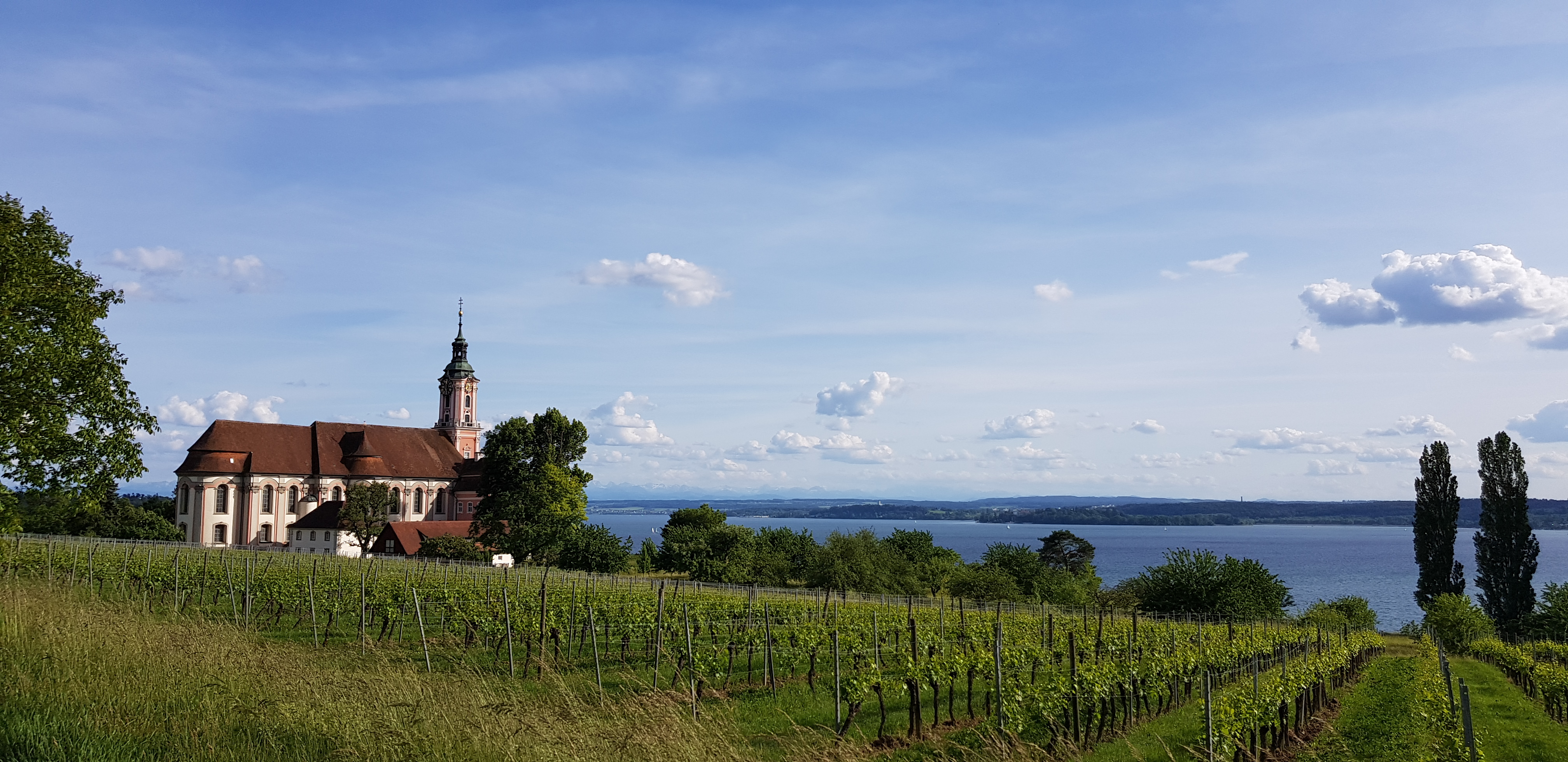 Sonnenschein Apartments