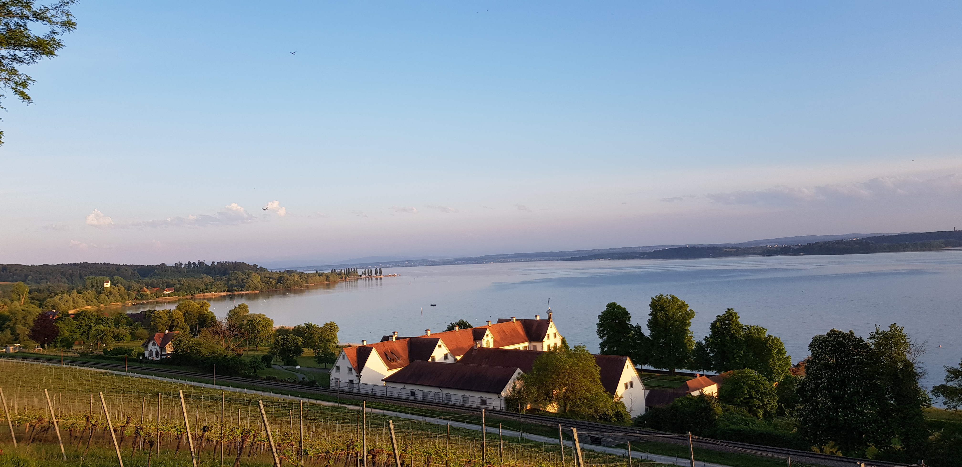 Sonnenschein Apartments